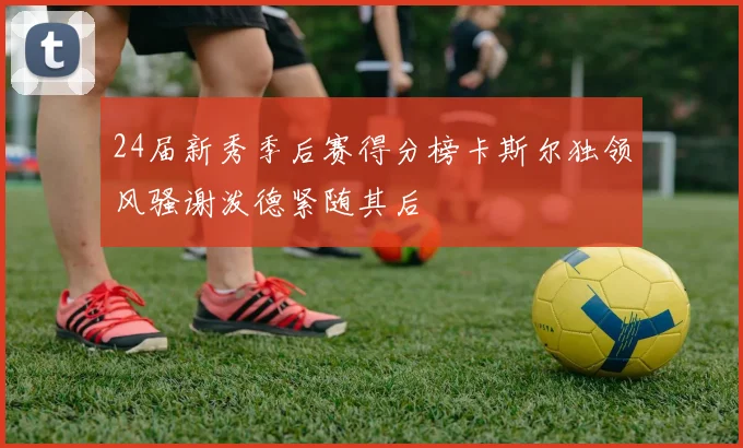 24届新秀季后赛得分榜卡斯尔独领风骚谢泼德紧随其后
